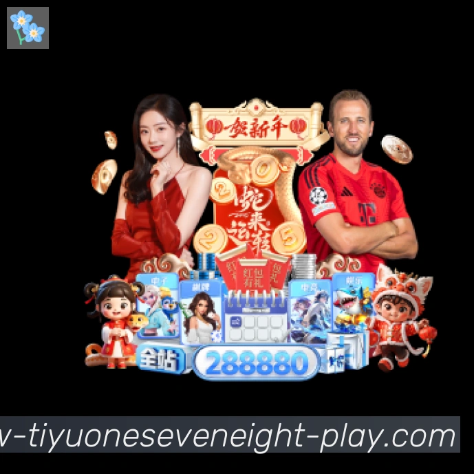 未来规划